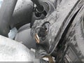 2006 Pontiac G6 — photo 11 of 11 | VIN 1G2ZF55B564292506