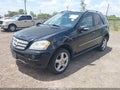 2008 Mercedes-Benz ML-Class — photo 2 of 16 | VIN 4JGBB86E48A334747