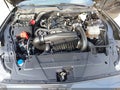 2024 Ford Mustang — photo 10 of 22 | VIN 1FA6P8TH4R5110142