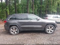 2014 Jeep Grand Cherokee — photo 14 of 17 | VIN 1C4RJEBG8EC207169