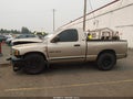 2002 Dodge Ram 1500 — photo 14 of 16 | VIN 1D7HA16Z62J143193