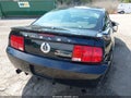 2008 Ford SHELBY — photo 19 of 19 | VIN 1ZVHT88SX85197415