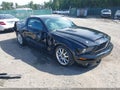 2008 Ford SHELBY — photo 1 of 19 | VIN 1ZVHT88SX85197415