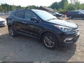 2017 Hyundai Santa Fe — photo 1 of 17 | VIN 5NMZUDLB7HH008690