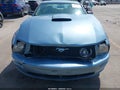 2007 Ford Mustang — photo 6 of 17 | VIN 1ZVHT82H775263995