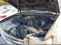 2013 GMC Sierra 1500 — photo 6 of 12 | VIN 1GTR2VE78DZ355200