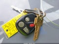 2001 Chevrolet Corvette — photo 11 of 18 | VIN 1G1YY22G615127706