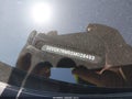 2025 Volkswagen Tiguan — photo 17 of 19 | VIN 3VVGR7RM5SM028493