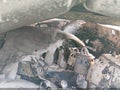 2002 Subaru Outback — photo 11 of 14 | VIN 4S3BH806227644937