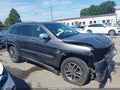 2020 Jeep Grand Cherokee — photo 13 of 17 | VIN 1C4RJEBGXLC128194