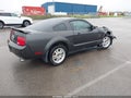 2009 Ford Mustang — photo 4 of 11 | VIN 1ZVHT80N995116704