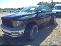 2009 Dodge Ram 1500 — photo 2 of 18 | VIN 1D3HV13T495711449