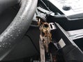 2017 Chevrolet Equinox — photo 11 of 17 | VIN 2GNALCEK3H1571061