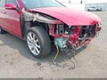 2006 Acura TSX — photo 19 of 19 | VIN JH4CL96856C023253