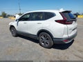 2022 Honda CR-V — photo 3 of 17 | VIN 2HKRW2H83NH639253