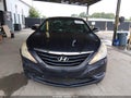 2013 Hyundai Sonata — photo 12 of 16 | VIN 5NPEB4ACXDH538679