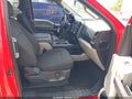 2017 Ford F-150 — photo 5 of 17 | VIN 1FTEX1CPXHKD85938