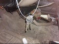 2004 Buick Century — photo 11 of 11 | VIN 2G4WS55J941169202