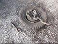 2004 Ford F-250 — photo 12 of 17 | VIN 1FTNW21L24EA25788