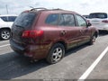 2007 Hyundai Santa Fe — photo 4 of 11 | VIN 5NMSG13D97H102027