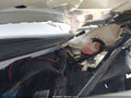 2023 Chevrolet Express Cargo — photo 10 of 16 | VIN 1GCWGAFPXP1165820