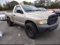 2002 Dodge Ram 1500 — photo 1 of 11 | VIN 1D7HA16N12J214054