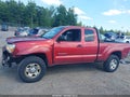 2007 Toyota Tacoma — photo 15 of 17 | VIN 5TEUX42N77Z335893