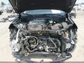 2024 Buick Encore GX — photo 10 of 17 | VIN KL4AMESL3RB189400