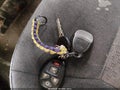 2009 Chevrolet Impala — photo 11 of 12 | VIN 2G1WT57N291296830