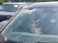 2024 Volkswagen ID.4 — photo 21 of 22 | VIN 1V25MPE89RC012708