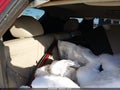 2016 Hyundai Santa Fe — photo 8 of 15 | VIN 5XYZU3LB4GG311378
