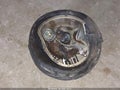 2007 Dodge Nitro — photo 14 of 14 | VIN 1D8GU58657W607707