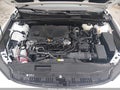 2025 Toyota Camry — photo 10 of 11 | VIN 4T1DBADK7SU500919