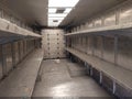 2019 Ford F-59 Commercial Stripped — photo 6 of 22 | VIN 1F65F5KY4K0A13389