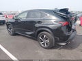 2020 Lexus NX 300 — photo 3 of 16 | VIN JTJGARDZ5L5013114