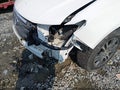 2012 Honda Odyssey — photo 17 of 18 | VIN 5FNRL5H69CB134175