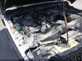 2026 Jeep Wrangler — photo 6 of 12 | VIN 1C4RJXDG4TW175664