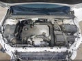 2019 Chevrolet Malibu Limited — photo 10 of 20 | VIN 1G1ZD5ST0KF109275