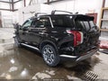 2025 Hyundai Palisade — photo 3 of 17 | VIN KM8R4DGE9SU894995
