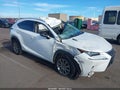2019 Lexus NX 300 — photo 1 of 16 | VIN JTJYARBZ7K2136033