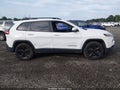 2017 Jeep Cherokee — photo 13 of 16 | VIN 1C4PJMDS5HW665922