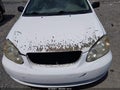 2006 Toyota Corolla — photo 10 of 15 | VIN 1NXBR32E56Z568122