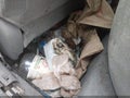 2006 Toyota Corolla — photo 15 of 15 | VIN 1NXBR32E56Z568122