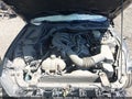 2017 Ford Mustang — photo 10 of 20 | VIN 1FA6P8AM3H5202597