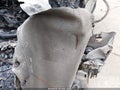 2025 Ford F-150 — photo 9 of 11 | VIN 1FTFW5L84SFB59109