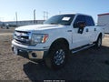 2014 Ford F-150 — photo 2 of 15 | VIN 1FTFW1EF8EKE36036