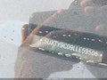 2020 BMW X3 — photo 16 of 16 | VIN 5UXTY9C09LLE59506