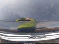 2017 Hyundai Elantra — photo 17 of 18 | VIN KMHD84LF8HU176263