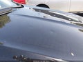 2016 Ford Escape — photo 6 of 17 | VIN 1FMCU9G95GUB18389
