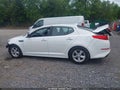 2015 Kia Optima — photo 14 of 16 | VIN KNAGM4A7XF5646547